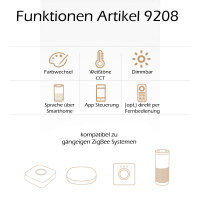 RGBCCT Garden Spotlight ZigBee 3.0 Pro Color Change Color Temperature 12W MiBoxer - UPDATE